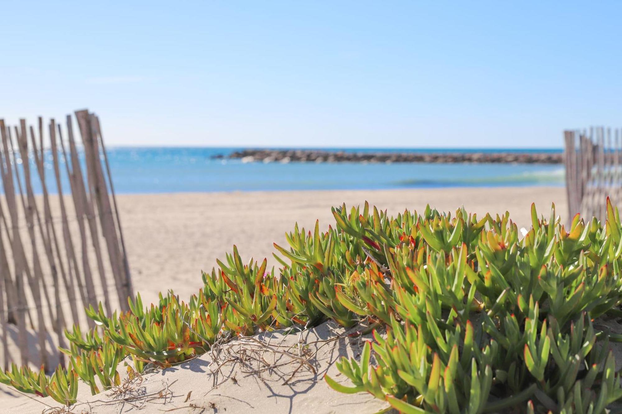 T2 Boheme Centre Ville Palavas Proche Plage المظهر الخارجي الصورة
